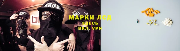 прущие грибы Алексеевка