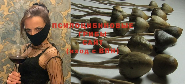 МДПВ Алексин