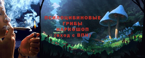 прущие грибы Алексеевка