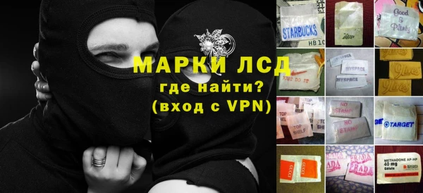 прущие грибы Алексеевка