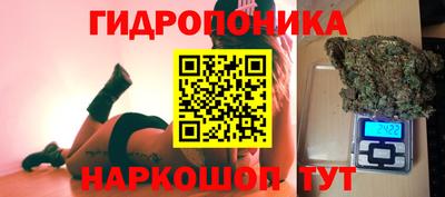 крисы Ярославль