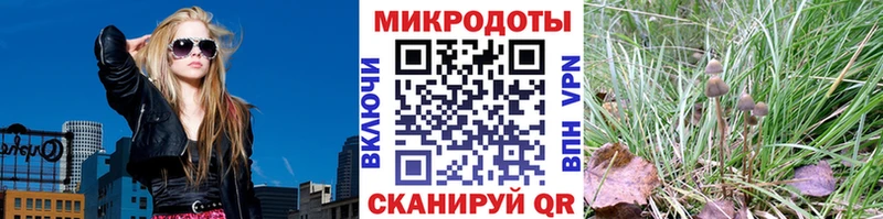 ОМГ ОМГ tor  Копейск  shop как зайти  Псилоцибиновые грибы ЛСД 
