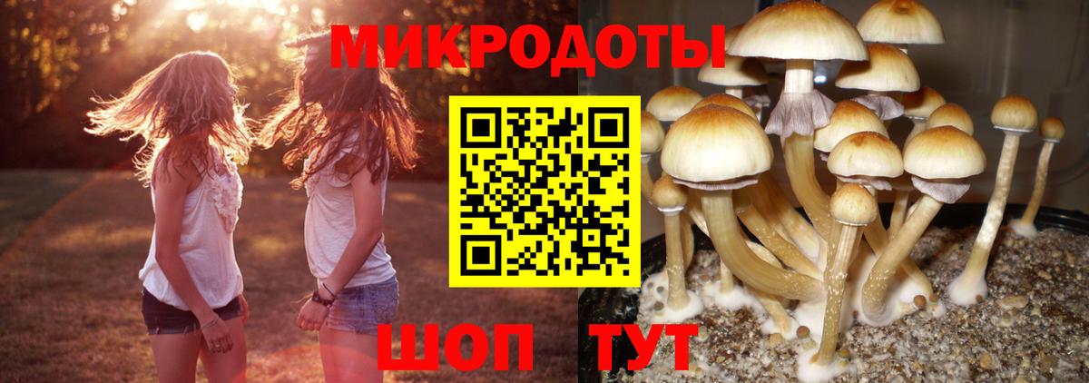 Галлюциногенные грибы прущие грибы  где можно купить   Псилоцибиновые грибы Cubensis  Копейск  Вход с VPN 