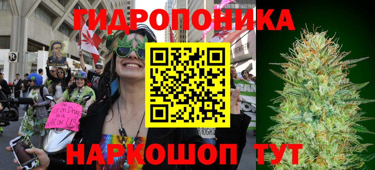 Копейск  Шишки марихуана SATIVA & INDICA  Вход с VPN  Каннабис THC 21%  Бошки Шишки SATIVA & INDICA 